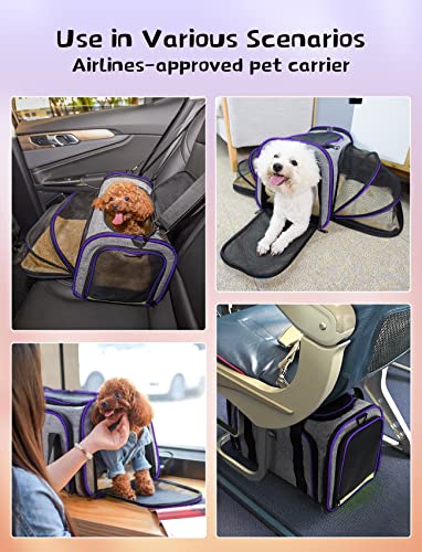 Transportín Plegable para Perros y Gatos, Bolsa de Transporte portátil, Bolsa de Transporte para Perros, Bolsa de Transporte para Perros, Bolsa de avión, autorizada para aeronaves
