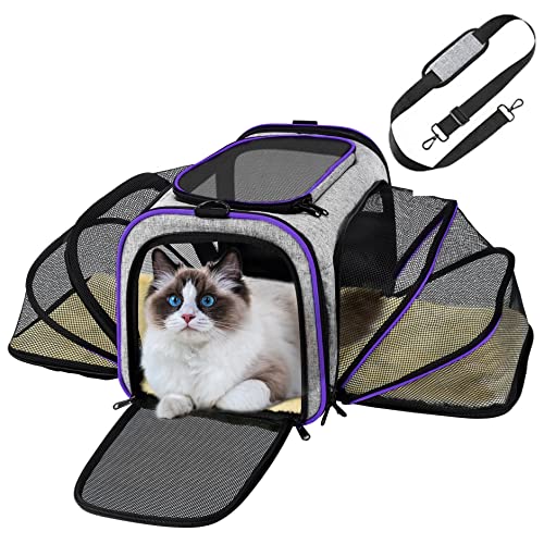 Transportín Plegable para Perros y Gatos, Bolsa de Transporte portátil, Bolsa de Transporte para Perros, Bolsa de Transporte para Perros, Bolsa de avión, autorizada para aeronaves