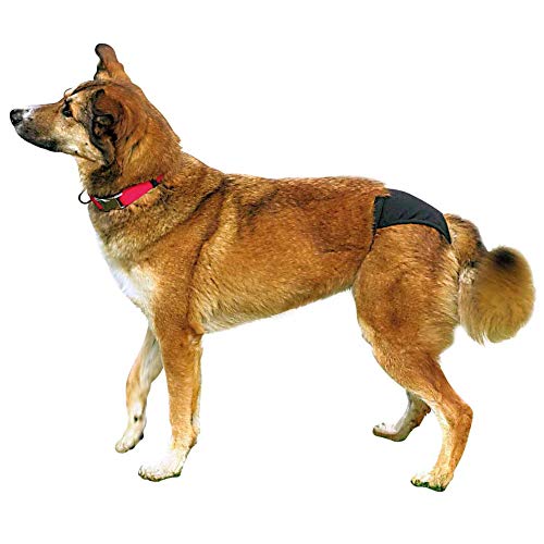TRIXIE Braguitas Protectoras para Perros