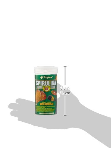 Tropical Super Spirulina Forte - Mini pienso granulado con 36% de espirulina (Platensis), 1 unidad (250 ml)