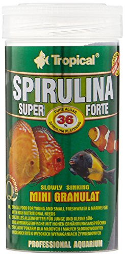 Tropical Super Spirulina Forte - Mini pienso granulado con 36% de espirulina (Platensis), 1 unidad (250 ml)