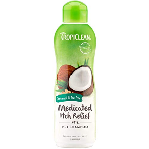 TropiClean Champú para Mascotas - Alivio Medicado de la Picazón - Exfolia, Humecta, Alivia la Piel y el Pelo Seco I Para Perros y Gatos I Sin Parabenos, Colorantes, Jabón - Avena y Árbol de Té, 592 ml