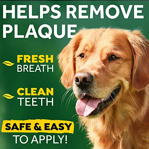 TROPICLEAN Fresh Breath by Gel de Cuidado Bucal para Perros - Dientes Limpios, Sin Cepillado - Combate la Placa, el Sarro y la Enfermedad Gingival - Original - 118 ml