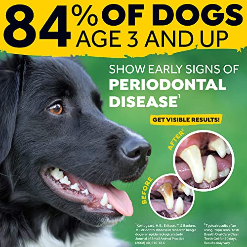 TROPICLEAN Fresh Breath by Gel de Cuidado Bucal para Perros - Dientes Limpios, Sin Cepillado - Combate la Placa, el Sarro y la Enfermedad Gingival - Original - 118 ml