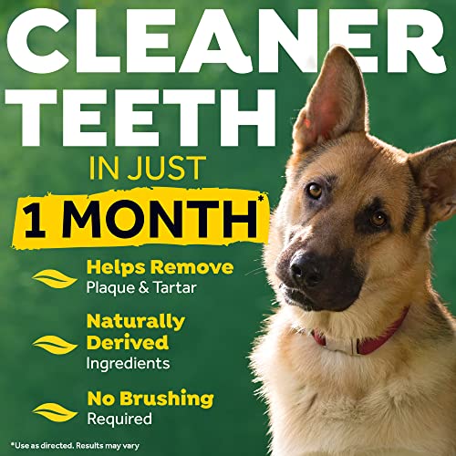 TROPICLEAN Fresh Breath by Gel de Cuidado Bucal para Perros - Dientes Limpios, Sin Cepillado - Combate la Placa, el Sarro y la Enfermedad Gingival - Original - 118 ml