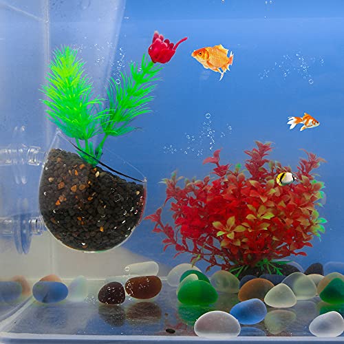 U-M Acuario Semillas Agua Hierba Macetas Tanque Decoración Paisaje Ornamento Fácil Acuático Planta Viva Peces