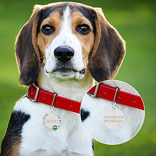 Uiopa 2Pzs Chapa Perro Grabada, Huella Placa Perro Grabada Placas Identificativas Chapas Personalizadas Placas para Perros, Etiquetas de Identificación de Mascotas para Perros Gatos Collar (Negro)