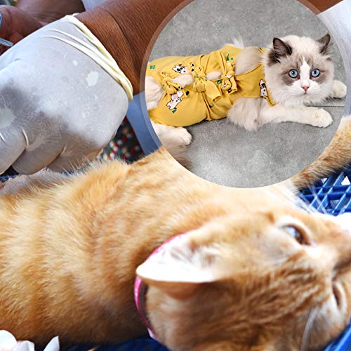 UKCOCO Disfraz de Gato Traje de cirugía de esterilización para Gatos Ropa de destete Ropa fisiológica Transpirable