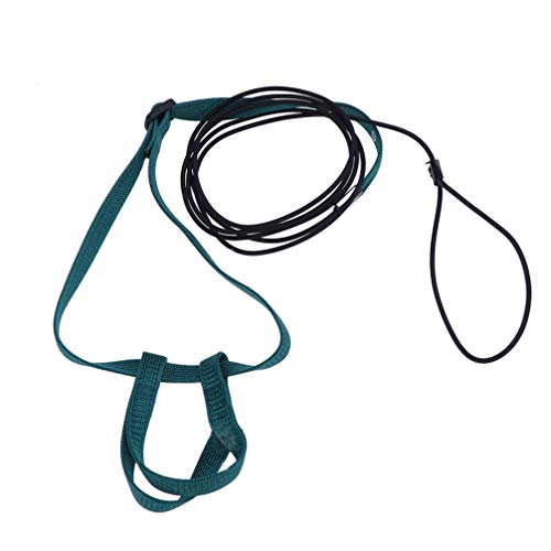 ULTECHNOVO Arnés para pájaros, correa para loros, cuerda de entrenamiento para caminar, plomo de control, arnés para mascotas, cinturón de tracción para periquitos, cacatúas Lovebird