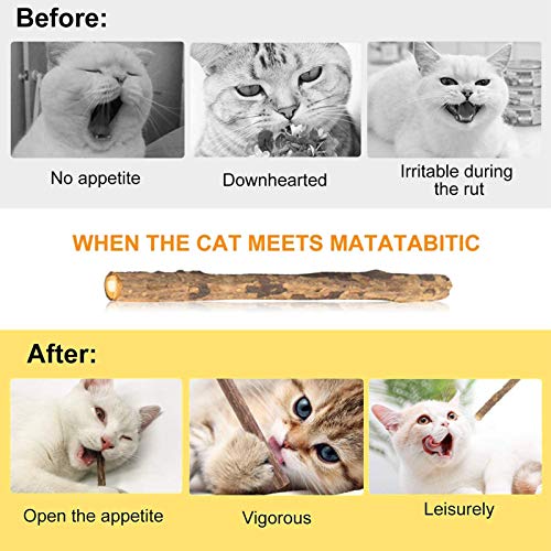 Uooker 25 palitos de gato para masticar gatos naturales orgánicos Matatabi Silvervine, juguetes molares para masticar para gatos, limpieza de dientes, gatos amor masticar palos molar