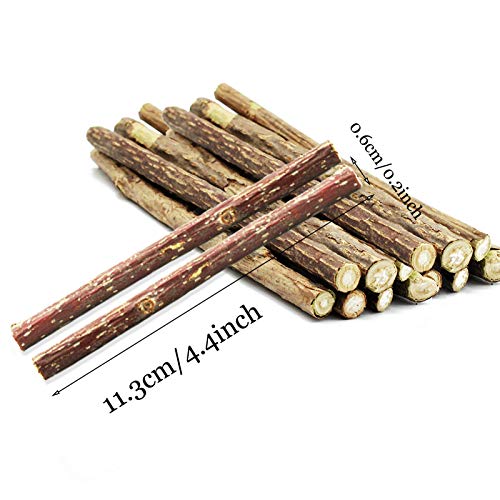 Uooker 25 palitos de gato para masticar gatos naturales orgánicos Matatabi Silvervine, juguetes molares para masticar para gatos, limpieza de dientes, gatos amor masticar palos molar