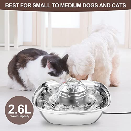 Vakdon Fuente para Gatos, Bebedero Gatos de Acero Inoxidable, 2,6L Silencioso Fuente de Agua para Gatos Perros, Dispensador de Agua Perros, Nivel de Agua Visible, con Filtro (Cuadrado)