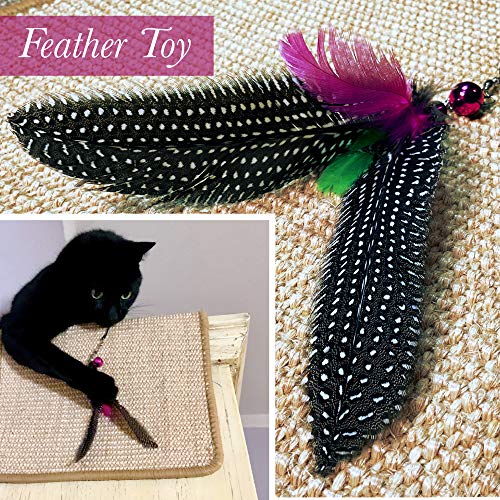 Valkyra - Rascador para Gatos Autoadhesivo, Alfombrilla de sisal para Mueble horizontales y Verticales, Juego de Plumas y Hierba Gata (30 x 40 cm, Natural)