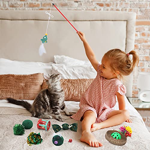 Vanplay Juguetes Gatos Interactivos 10 Piezas con Ratones,Pescado, Pelotas, Gatos