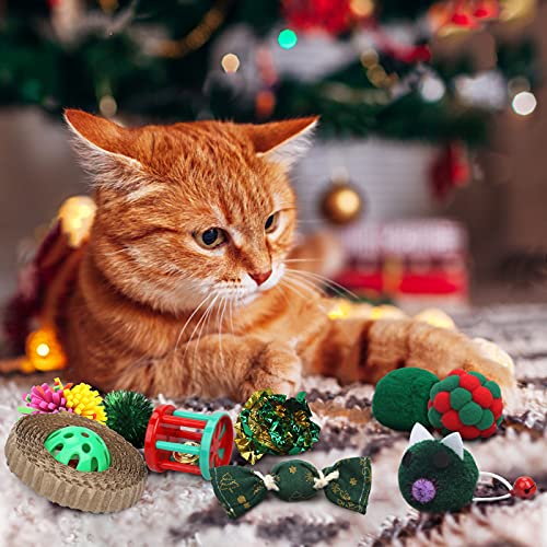 Vanplay Juguetes Gatos Interactivos 10 Piezas con Ratones,Pescado, Pelotas, Gatos