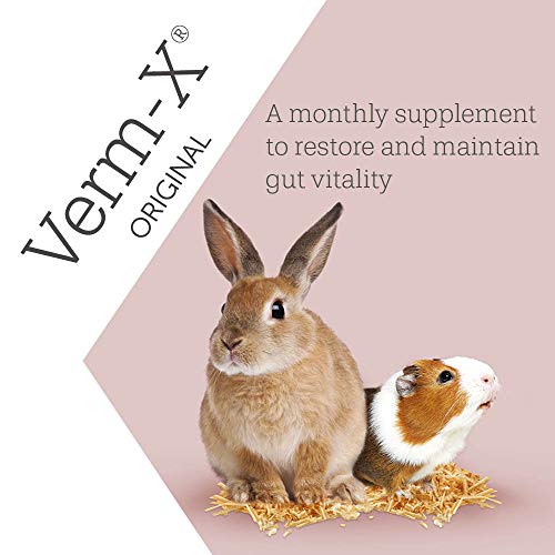 Verm-X Pellets Naturales Originales para Conejos, cobayas y hámsteres. Aprobado para Uso en Granjas orgánicas. Apoya la higiene intestinal. Mantiene la vitalidad intestinal. Receta Libre de ajenjo.