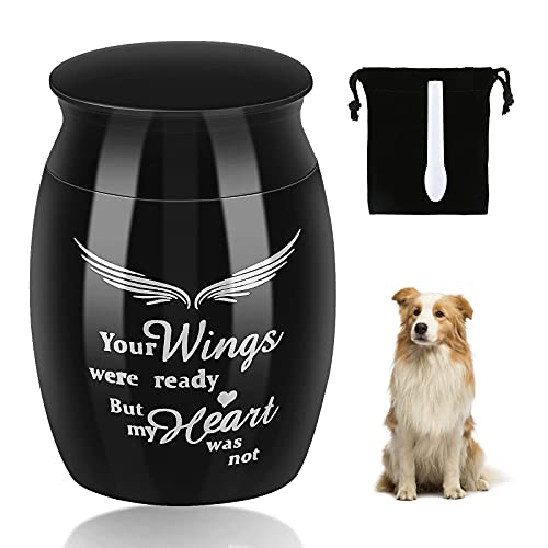 Victop Mini urna de recuerdo, urna decorativa de acero inoxidable de 3 x 4 cm, urna conmemorativa con cuchara pequeña y bolsa de terciopelo negro, pequeña urna de cremación para cenizas de mascotas