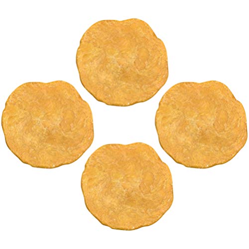 VILLCASE 4pcs Animal Fósil Egipto Nummulites Muestra de Muestra Mineral para Arqueología Geología Ciencia Aprendizaje Juguete Educativo