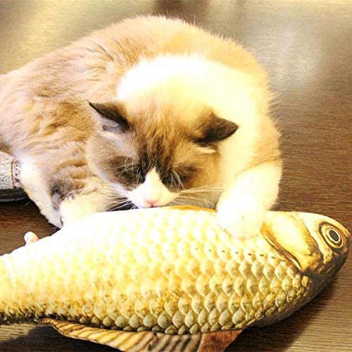 Vrttlkkfe Mascota Suave Felpa 3D Forma de Pez Gato Juguete Regalos Interactivos Pez Hierba Gatera Juguetes de Peluche Almohada MuñEca SimulacióN Pez Jugando Juguete