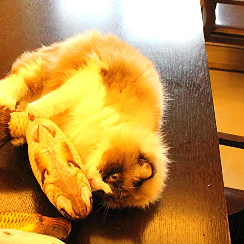 Vrttlkkfe Mascota Suave Felpa 3D Forma de Pez Gato Juguete Regalos Interactivos Pez Hierba Gatera Juguetes de Peluche Almohada MuñEca SimulacióN Pez Jugando Juguete
