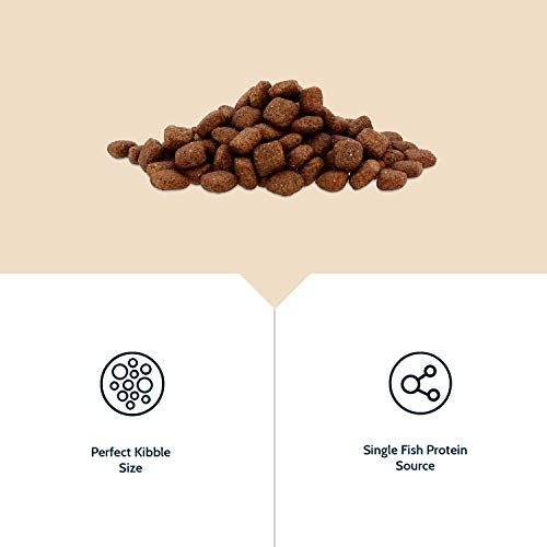 WAFCOL Alimentos para Perros sensibles para Adultos – Salmón y Patata – Alimentos para Perros sin Granos para Razas pequeñas y Medianas – Paquete de 12 kg Transparente