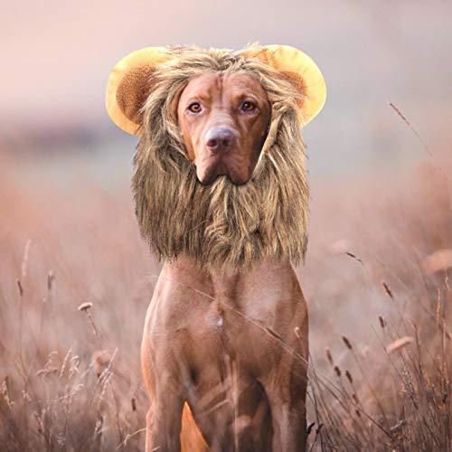 WAQU Gato León Peluca-Creativo Lindo Gato Perro León Peluca Sombrero Disfraz Divertido Vestir
