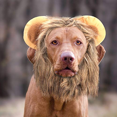 WAQU Gato León Peluca-Creativo Lindo Gato Perro León Peluca Sombrero Disfraz Divertido Vestir