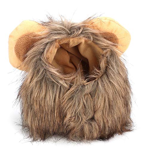 WAQU Gato León Peluca-Creativo Lindo Gato Perro León Peluca Sombrero Disfraz Divertido Vestir
