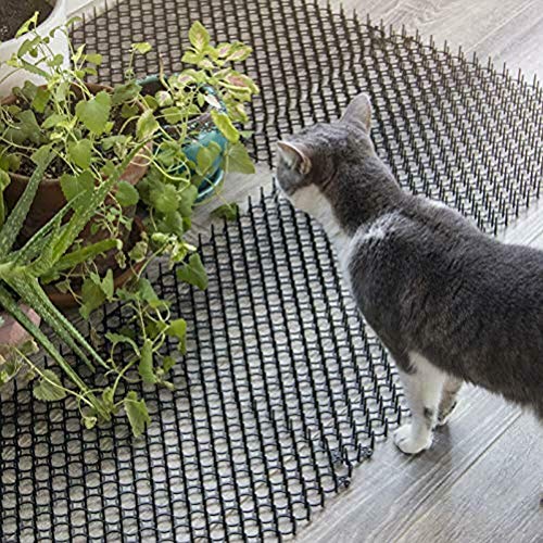 WBTY Alfombrilla de gato con pinchos para gatos y perros, antigatos, red antigatos, red de excavación, red protectora para plantas, red para jardín al aire libre