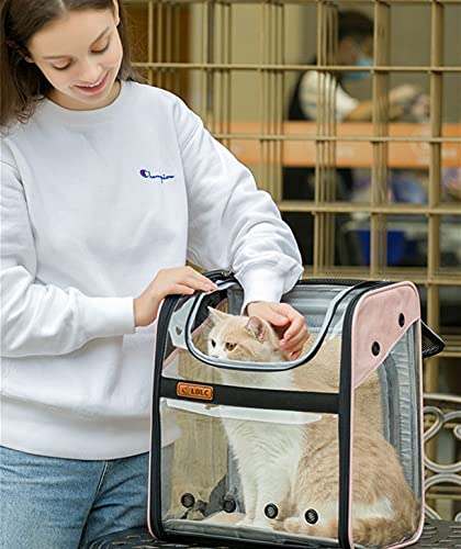 WEECOC Bolsa de Transporte para Mascotas Mochila de Transporte Jaula para Gato Perro Jaula portátil para Mascotas con Estructura de Alambre Transparente Plegable espaciosa (Azul)