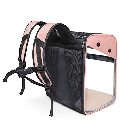WEECOC Bolsa de Transporte para Mascotas Mochila de Transporte Jaula para Gato Perro Jaula portátil para Mascotas con Estructura de Alambre Transparente Plegable espaciosa (Azul)