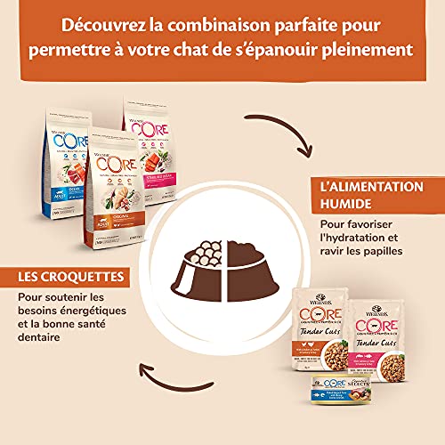Wellness CORE Alimento seco para Gatos sin Granos, Pavo Original y Pollo, 1,75 kg