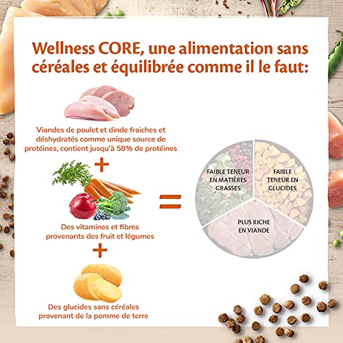 Wellness CORE Alimento seco para Gatos sin Granos, Pavo Original y Pollo, 1,75 kg
