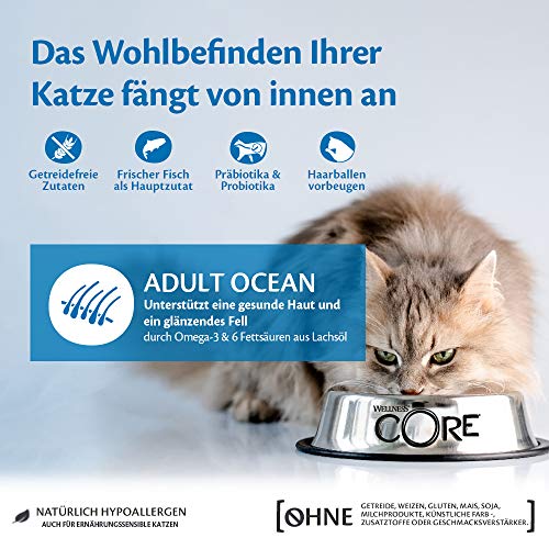 Wellness CORE - Salmón para Comida de Gato sin Grano con túnica (300 g)
