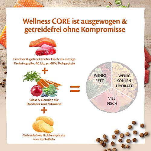 Wellness CORE - Salmón para Comida de Gato sin Grano con túnica (300 g)