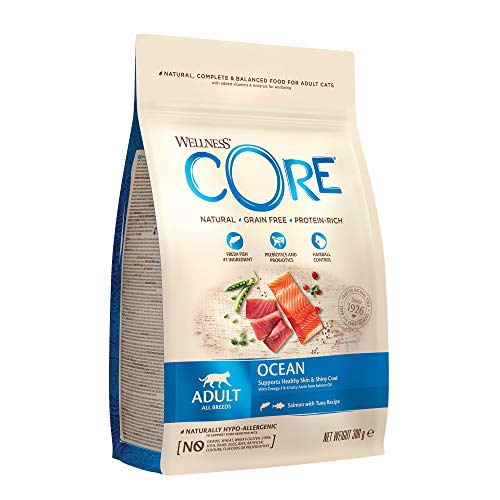 Wellness CORE - Salmón para Comida de Gato sin Grano con túnica (300 g)