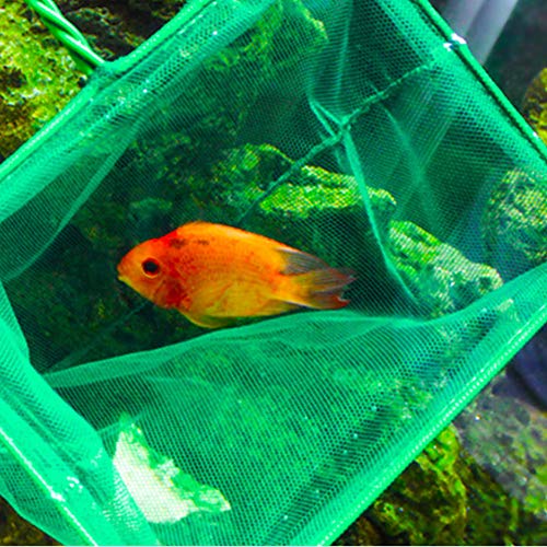 WFWUK Accesorios Acuarios y Peceras Salabre Pesca Las Redes de Pesca Mantener Las Redes de Pesca Limpiador de Grava para pecera 50cm