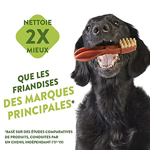 Whimzees Hueso Estrella M Mix 15cm Bl 12+2ud (6uds)