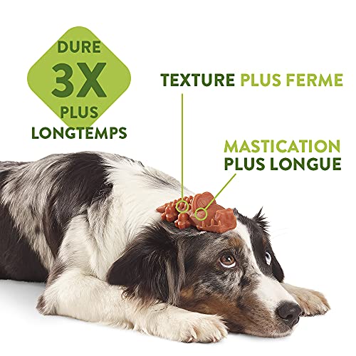 Whimzees Hueso Estrella M Mix 15cm Bl 12+2ud (6uds)