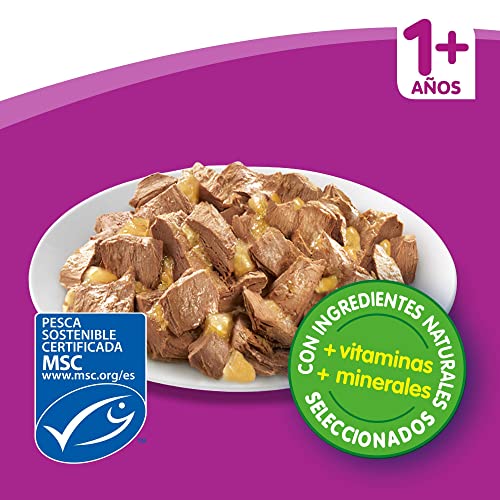 Whiskas Casserole Comida Húmeda para Gatos Adultos Selección Pescados, Multipack (4 cajas x 12 sobres x 85g)