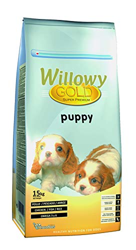 Willowy gold puppy 15 kg