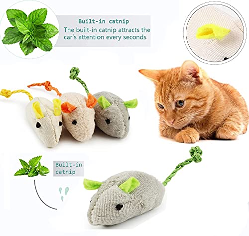 winbarry 30Pcs Palitos de Catnip,6Pcs Hierba Gatera Juguete,Juguetes para Gatos,Palitos De Hierba Gatera 100% orgánico Natural,Protección del Cuidado Dental,Adecuado Juguete para Gatos de Interior