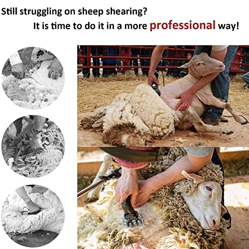 WOERD Tijeras Eléctricas para Ovejas, Juego De Tijeras Eléctricas para Ovejas, Tijeras Eléctricas para Ovejas Y Cabras 6 Velocidades, Tijeras para Ovejas para Alpacas De Ovejas Llamas Y Animales
