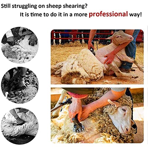 WOERD Tijeras Eléctricas para Ovejas, Maquina para Esquilar Ovejas, Esquiladora para Ovejas Eléctrica con 4000 Mah Batería, Profesional Juego De Tijeras para Cabra Alpaca Camello