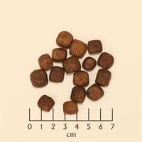 Wolfsblut Dark Forest 500gr