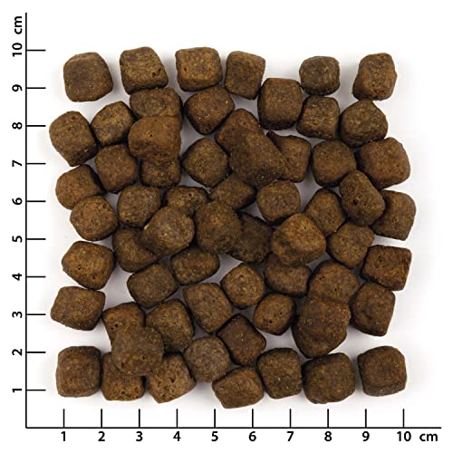 Wolfsblut Wild Duck Adult 2kg