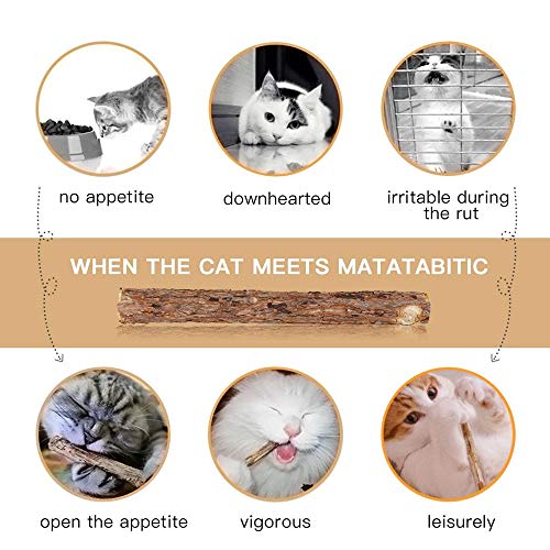 WoLover Silvervine Sticks para gatos, Natural Catnip Sticks Matatabi Masticar Palos Dientes Molar Masticar Juguetes para Gatito Gatito Gatito (25 PCS)