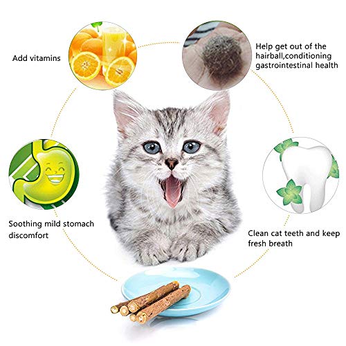 WoLover Silvervine Sticks para gatos, Natural Catnip Sticks Matatabi Masticar Palos Dientes Molar Masticar Juguetes para Gatito Gatito Gatito (25 PCS)