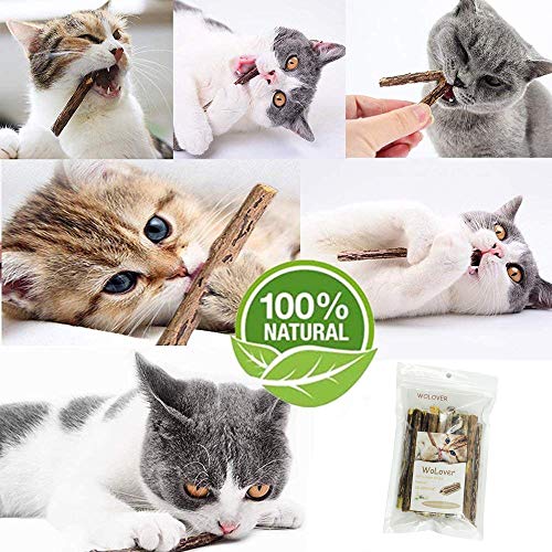 WoLover Silvervine Sticks para gatos, Natural Catnip Sticks Matatabi Masticar Palos Dientes Molar Masticar Juguetes para Gatito Gatito Gatito (25 PCS)