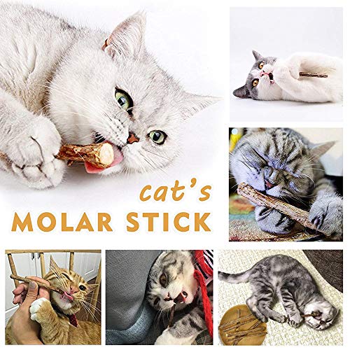 WoLover Silvervine Sticks para gatos, Natural Catnip Sticks Matatabi Masticar Palos Dientes Molar Masticar Juguetes para Gatito Gatito Gatito (25 PCS)